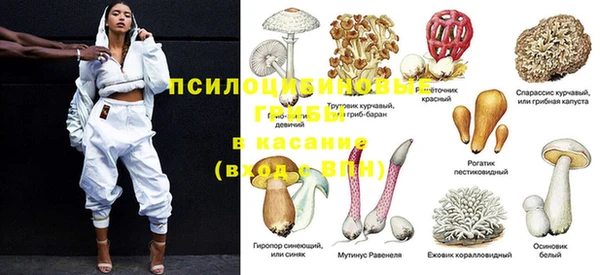 молекула духа Богданович